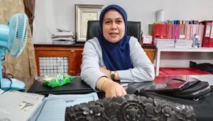 Kasus DBD di Kendari Meningkat, Dinkes Kota Kendari Imbau Masyarakat Jangan Panik