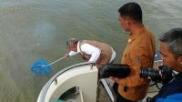 Hari Peduli Sampah Nasional, Pj Wali Kota Bersih-bersih Sampah Plastik di Teluk Kendari