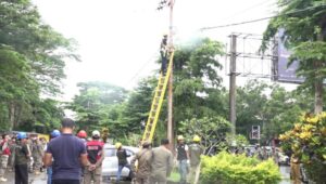 Pemkot Kendari Putus Aliran Listrik dan Segel Lapak UMKM Sekitar Tugu MTQ