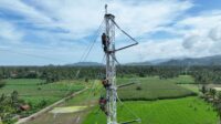 Jaga Keandalan Pasokan Listrik, PLN Bergerak Bangun Tower Emergency di Jalur Wolo – Kolaka