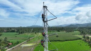 Jaga Keandalan Pasokan Listrik, PLN Bergerak Bangun Tower Emergency di Jalur Wolo – Kolaka