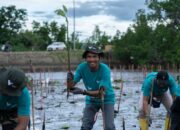 PT Vale Teguhkan Komitmen Keberlanjutan di Hari Lingkungan Hidup Sedunia 2024