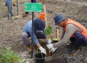 Wujud Komitmen Keberlanjutan, PT Vale Rehabilitasi 200 Hektar Lahan DAS Nusa Penida