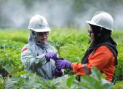 PT Vale Tegaskan Komitmen Keberlanjutan dalam Sustainability Report 2023