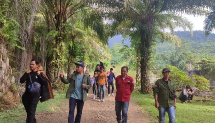 Jurusan Ilmu Tanah UHO Adakan PBL di Perkebunan Kelapa Sawit Sultra Prima Lestari