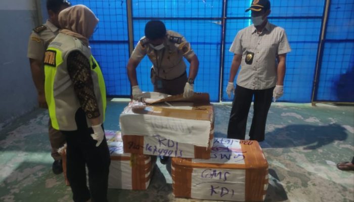 Barantin Gagalkan Penyelundupan 98 Kilogram Daging Babi Tanpa Dokumen ke Sultra