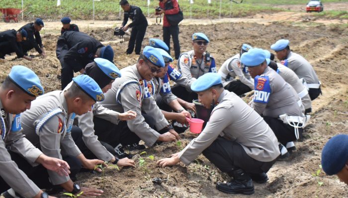 Bidpropam Polda Sultra Dukung Program Ketahanan Pangan di Kelurahan Nanga-Nanga