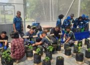 Danlanal Kendari Kolaborasi Bersama BI Sultra Wujudkan Ketahanan Pangan Lewat Smart Green House
