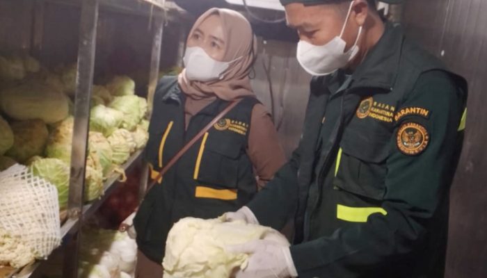 Cegah Penyebaran Virus ASF dan Penyakit Berbahaya Karantina Sultra Periksa Kapal Asing