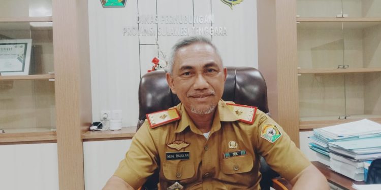 Kepala Dinas Perhubungan Sultra, Dr. Rajulan, S.T, M.Si. (Foto: Ist/KR)