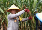 Kapolda Sulsel Tegaskan Pentingnya Sinergi dengan PT Vale untuk Keamanan dan Ketahanan Pangan