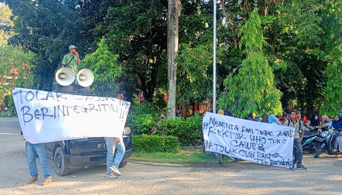Jemprof Sultra Ingatkan Rektor UHO Agar tidak Cawe-cawe Pada Pilrek UHO Baru