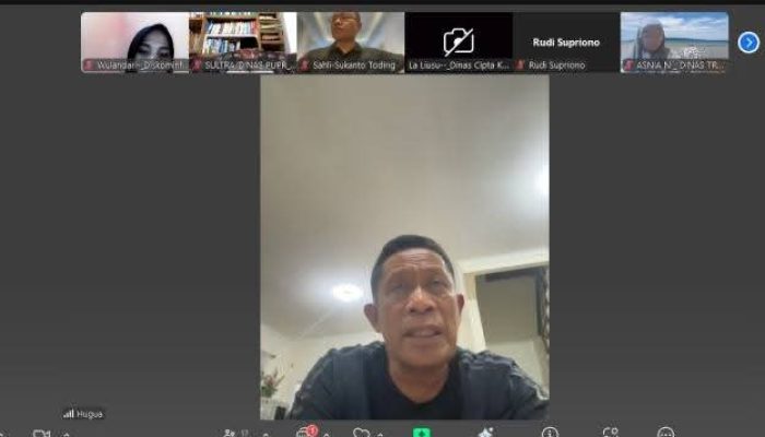 Wakil Gubernur Sultra Jajaki Kerja Sama Pembangunan Internasional dengan Jepang