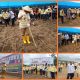 Bupati Muna Bachrun Labuta memimpin penanaman jagung di Desa Wakumoro. (Foto: LM Nur Alim/KR)