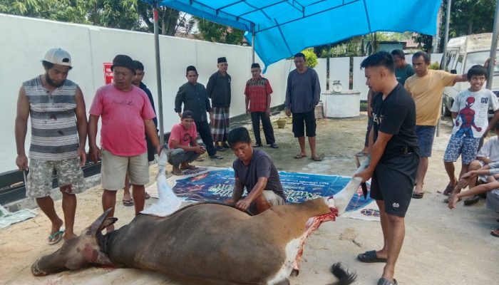 Kepala BPN Muna Maknai Idul Adha dengan Kurban dan Pelayanan Prima