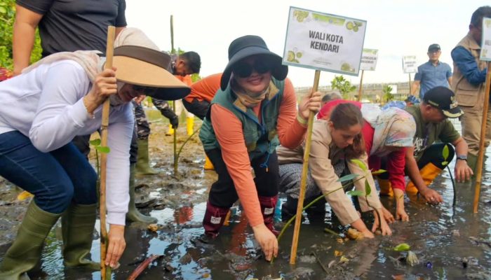 Hari Mangrove Sedunia, Wali Kota Kendari Tanam 500 Pohon Mangrove di Pesisir Bungkutoko