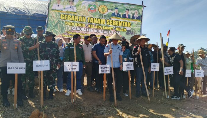 Bupati Konut Ikbar Pimpin Gerakan Tanam Serentak Padi Gogo, Sawit, dan Nilam Untuk Ketahanan Pangan di Motui