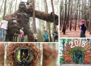 Wisata Inklusif: Harapan Baru dari Puncak Sorombipi di Kolaka Timur