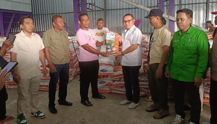 Muna dan Muna Barat Keciprat 98 Ton Bibit Jagung BISI 2 dan BISI 18 Aspirasi Jaelani