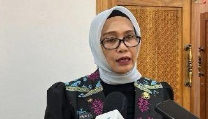 Pembukaan Lahan Mangrove di Depan CitraLand Kendari Sesuai Aturan, Ini Penjelasan Kadis DLHK Kendari
