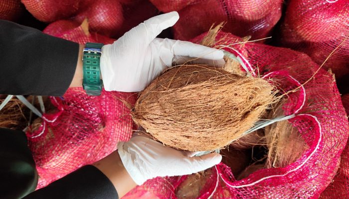 Badan Karantina Indonesia Komitmen Jaga Sumber Daya Hayati Sultra