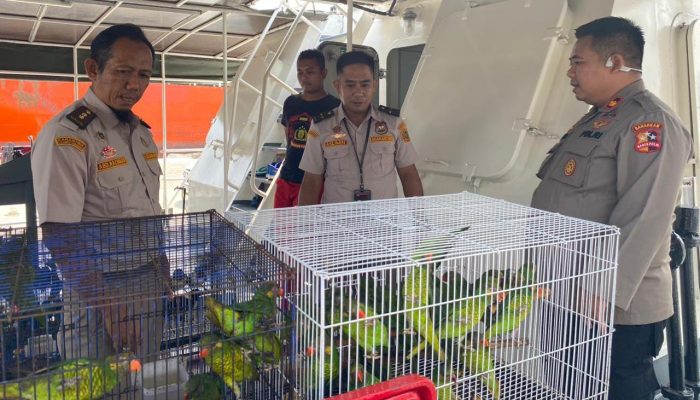 Balai Karantina bersama Polairud Gagalkan Penyelundupan Ratusan Burung Endemik Sultra