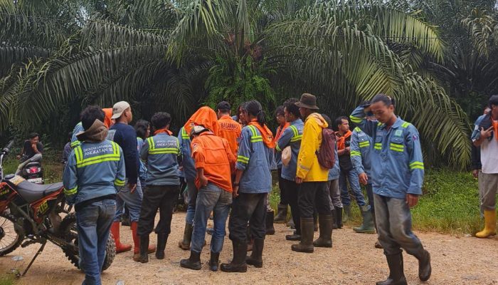 Dua Mahasiswa Geologi UHO Tersesat di Hutan Saat Kuliah Lapangan, KPP Kendari Lakukan Pencarian