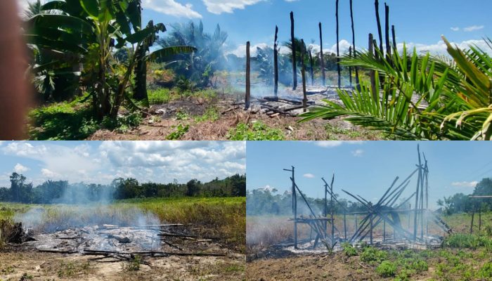 JPLK Menuding PT MS Diduga Melakukan Pelanggaran HAM Berat di Konsel