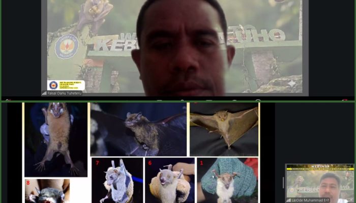 Kebun Raya UHO Ungkap Banyak Kekayaan Fauna, Puluhan Jenis Burung dan Kelelawar Terdokumentasi