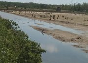 Sorotan Publik Menguat, Dugaan Perusakan di Taman Nasional Rawa Aopa Watumohai Jadi Ujian Penegakan Hukum