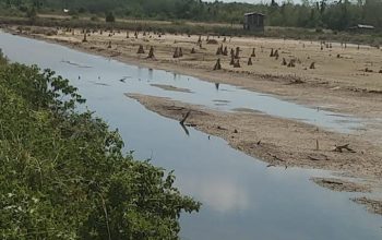 Sorotan Publik Menguat, Dugaan Perusakan di Taman Nasional Rawa Aopa Watumohai Jadi Ujian Penegakan Hukum