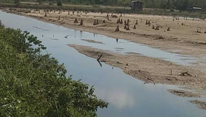 Sorotan Publik Menguat, Dugaan Perusakan di Taman Nasional Rawa Aopa Watumohai Jadi Ujian Penegakan Hukum