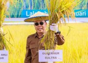 Maksimalkan Produksi, Pemprov ajak Petani Gunakan Benih Padi Unggul Sanggoleo