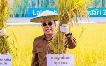 Maksimalkan Produksi, Pemprov ajak Petani Gunakan Benih Padi Unggul Sanggoleo