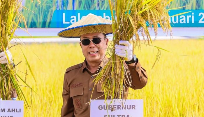 Maksimalkan Produksi, Pemprov ajak Petani Gunakan Benih Padi Unggul Sanggoleo