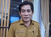 Semarak HUT Ke-62 Sultra, Disnakertrans Bakal Hadirkan Job Fair SAMUDRA Peluang bagi Pencari Kerja