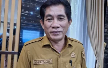 Semarak HUT Ke-62 Sultra, Disnakertrans Bakal Hadirkan Job Fair SAMUDRA Peluang bagi Pencari Kerja