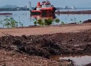 DLH Konsel Buka Suara Soal Dugaan Kerusakan Mangrove di Moramo, Tegaskan Kewenangan Berlapis hingga Pusat