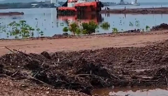 DLH Konsel Buka Suara Soal Dugaan Kerusakan Mangrove di Moramo, Tegaskan Kewenangan Berlapis hingga Pusat