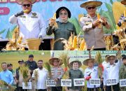 Wali Kota Kendari Panen Raya Jagung dan Padi Sawah, Dukung Ketahanan Pangan Nasional dan Pemulihan Pasca-Banjir