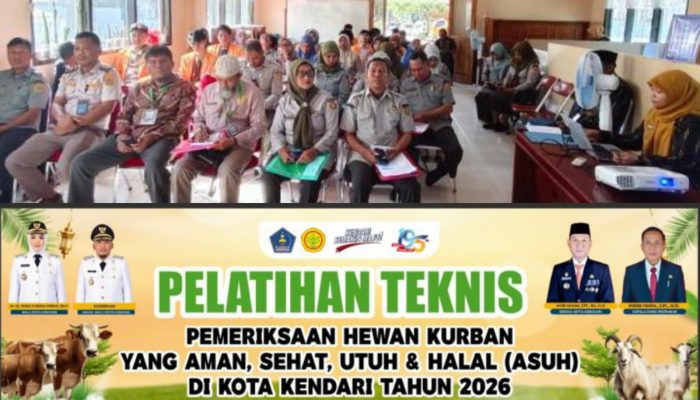 Pemkot Kendari Perkuat Pengawasan Hewan Kurban, Dinas Pertanian Gelar Pelatihan Pemeriksaan ASUH