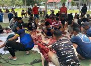 Lanal Kendari Kurban 14 Ekor Sapi Berbagi Bersama Masyarakat Sekitar dan Prajurit