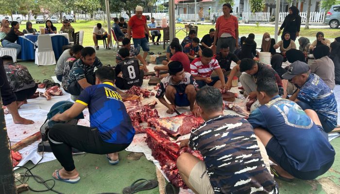Lanal Kendari Kurban 14 Ekor Sapi Berbagi Bersama Masyarakat Sekitar dan Prajurit