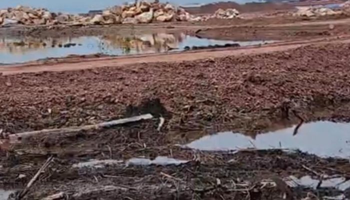 Kawasan Hutan Mangrove di Moramo Konsel Dibabat jadi Kawasan Galangan Kapal