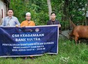 Bank Sultra Salurkan CSR 23 Ekor Sapi Kurban ke Seluruh Wilayah Sultra Periode Idul Adha
