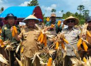 Penguatan Sektor Unggulan Dorong Ekonomi Kabupaten Muna Tumbuh Positif 5,59 %