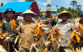 Penguatan Sektor Unggulan Dorong Ekonomi Kabupaten Muna Tumbuh Positif 5,59 %