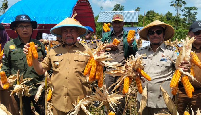 Penguatan Sektor Unggulan Dorong Ekonomi Kabupaten Muna Tumbuh Positif 5,59 %