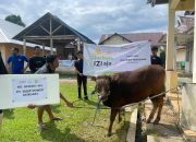 Idul Adha 1447 H, PT DSSP Power Kendari Salurkan Hewan Kurban untuk Masyarakat Desa Tanjung Tiram dan Wawatu