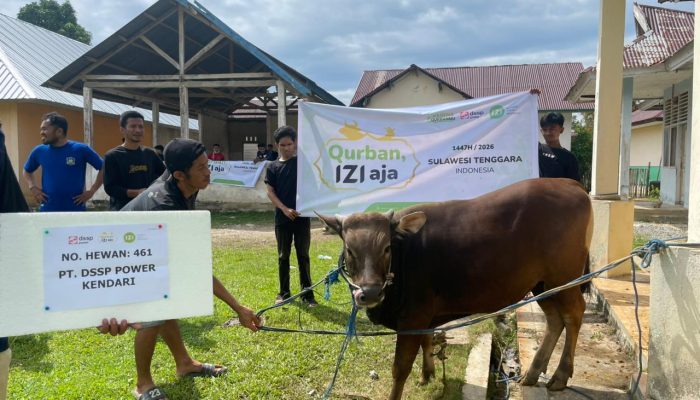 Idul Adha 1447 H, PT DSSP Power Kendari Salurkan Hewan Kurban untuk Masyarakat Desa Tanjung Tiram dan Wawatu